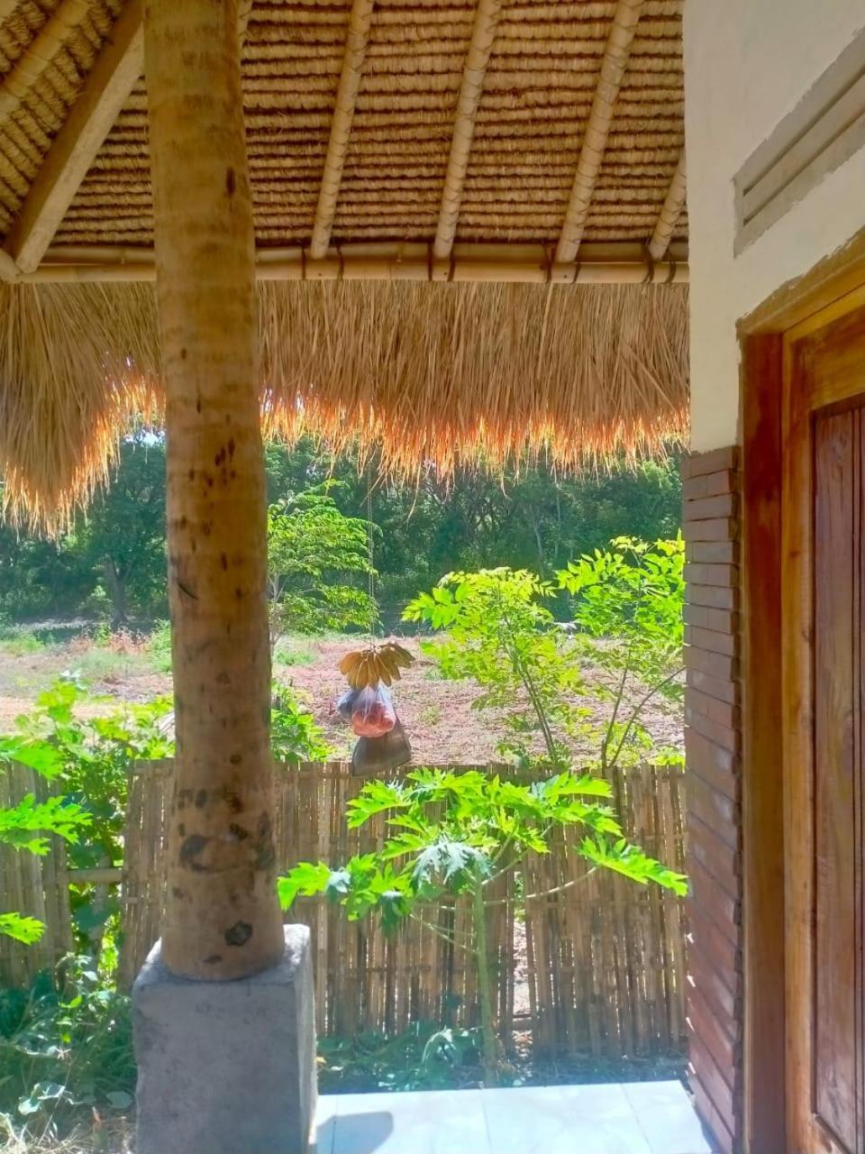Melody Surf - Ekas Lombok Hotell Exteriör bild