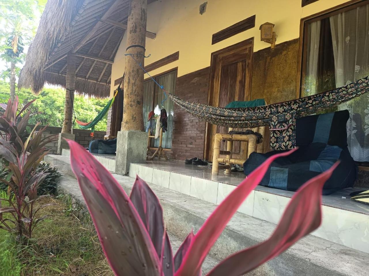 Melody Surf - Ekas Lombok Hotell Exteriör bild