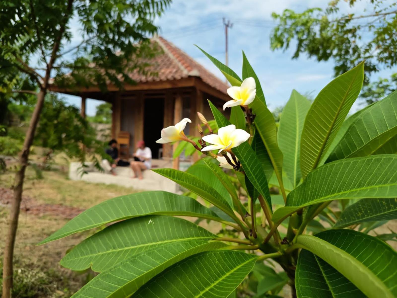 Melody Surf - Ekas Lombok Hotell Exteriör bild