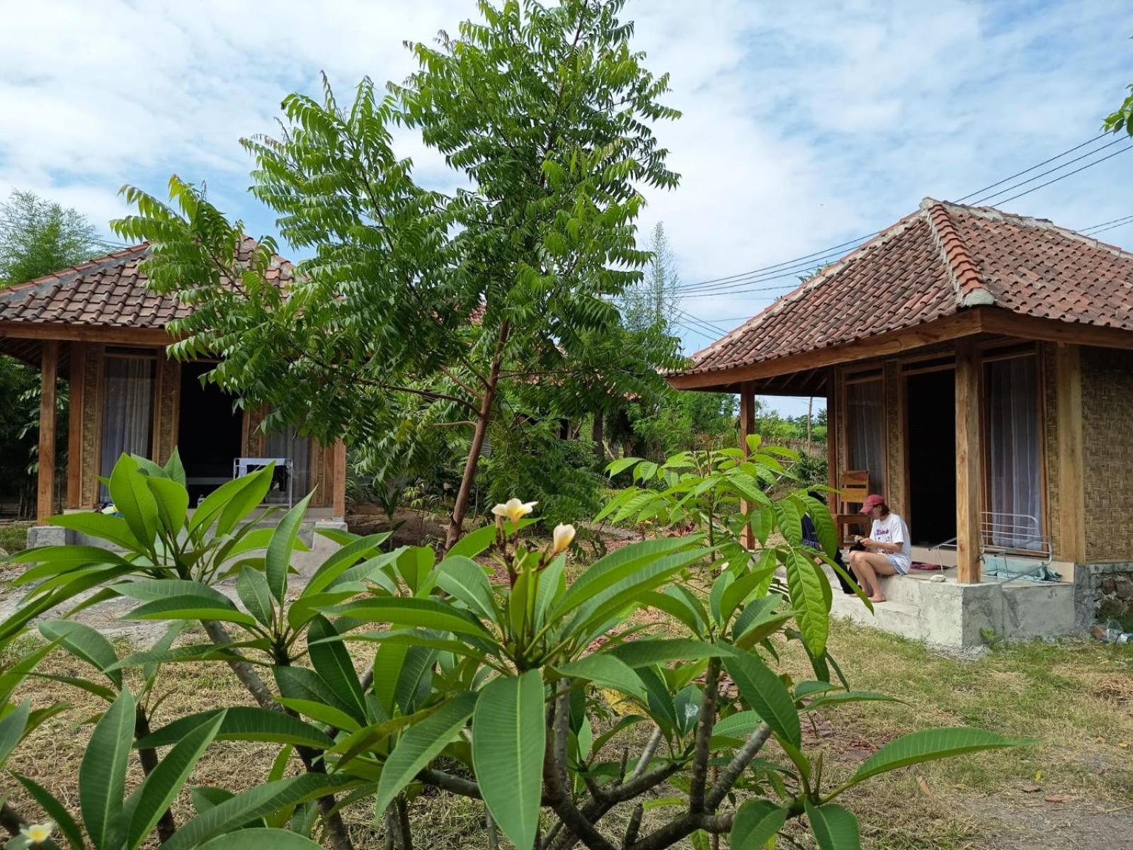 Melody Surf - Ekas Lombok Hotell Exteriör bild