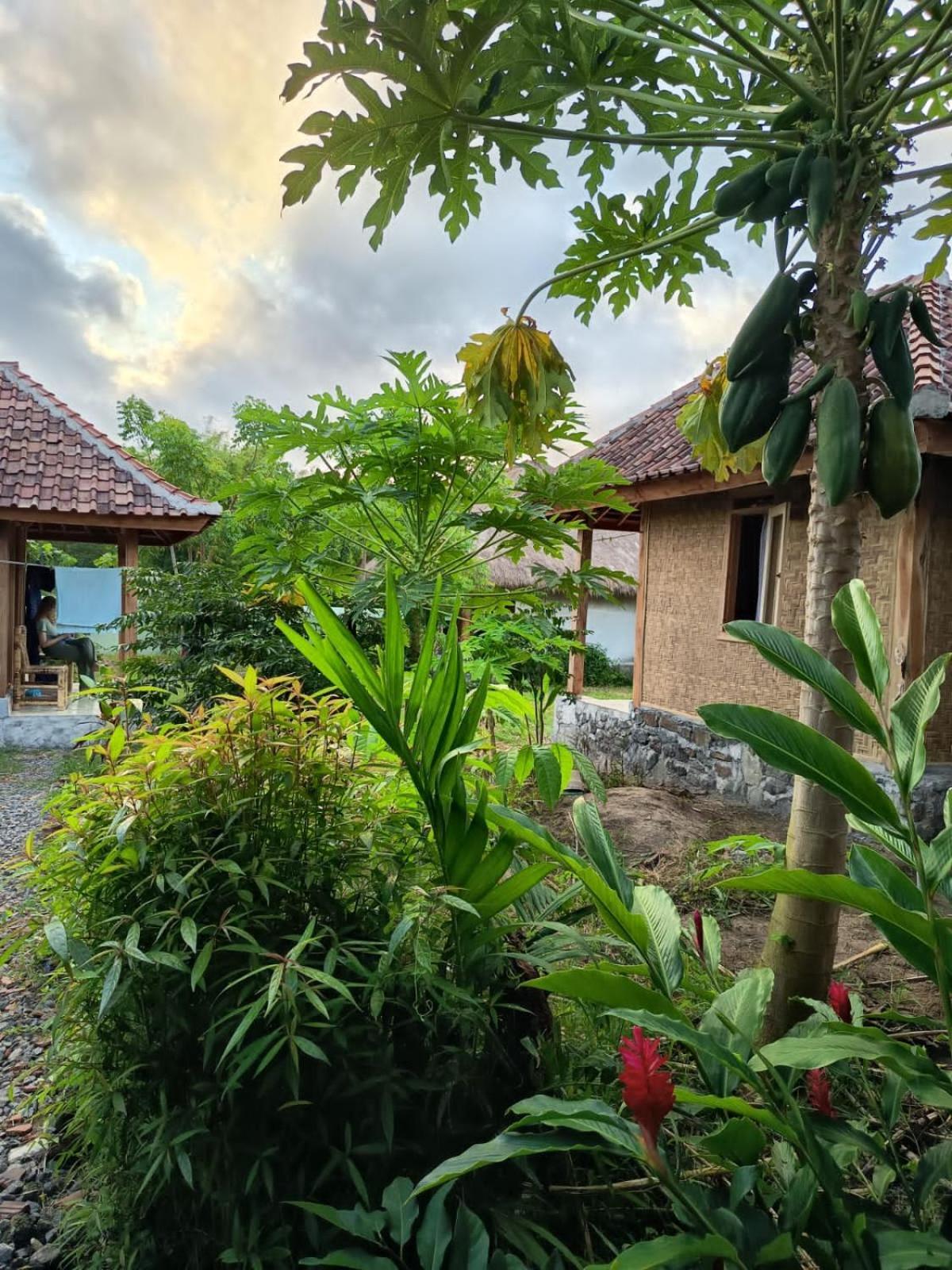 Melody Surf - Ekas Lombok Hotell Exteriör bild