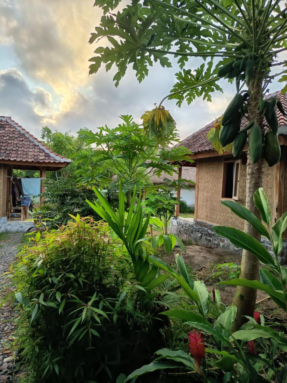 Melody Surf - Ekas Lombok Hotell Exteriör bild