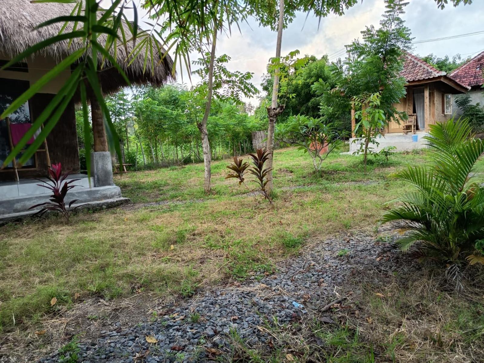 Melody Surf - Ekas Lombok Hotell Exteriör bild